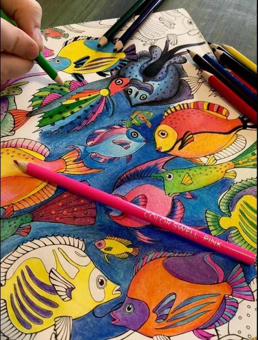 New Colored Pencils 3 Packs of Twelve A+ Homework Presharpened Non-toxic  Vibrant